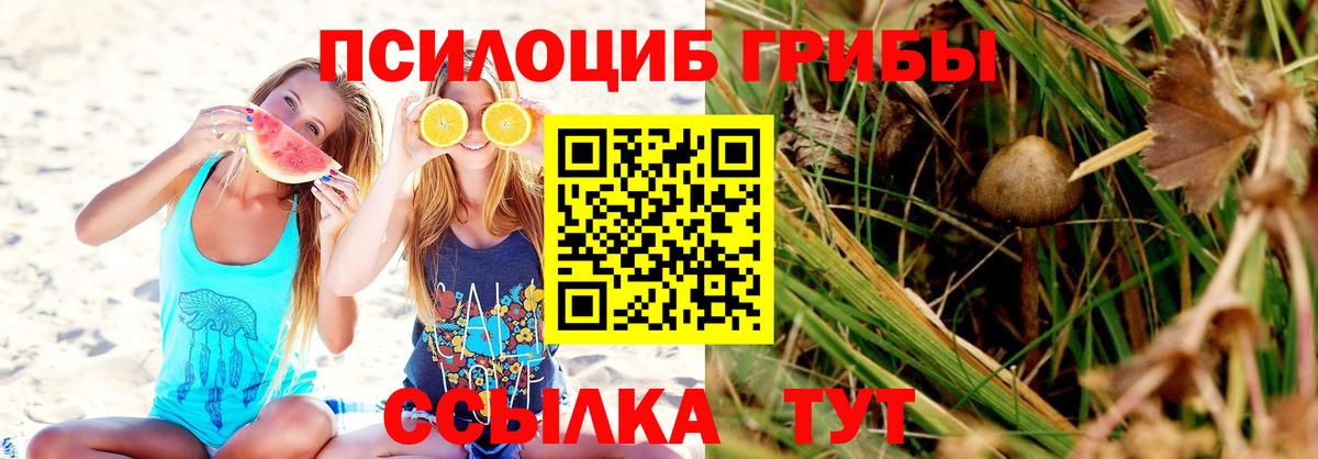 Галлюциногенные грибы Psilocybine cubensis  Галлюциногенные грибы прущие грибы  Нефтекамск  как найти закладки  Вход с VPN 